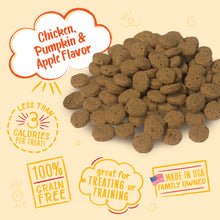 Load image into Gallery viewer, Charlee Bear Chicken, Pumpkin & Apple Crunch Dog Treat, 8oz Bag