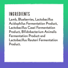 Load image into Gallery viewer, Charlee Bear Lamb &amp; Blueberries Meaty Bites Freeze Dried Dog Treats, 2.5oz Bag
