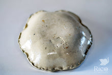 Load image into Gallery viewer, Kitty Dish, Critter
