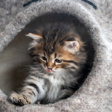 Load image into Gallery viewer, Cat Cave, Natural
