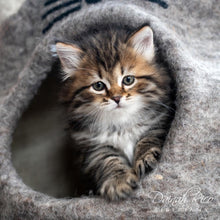 Load image into Gallery viewer, Cat Cave, Natural
